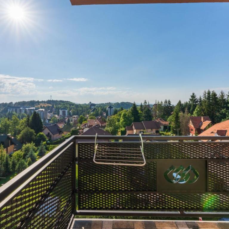 Ivona apartman Zlatibor - Apartman sa 1 Spavaćom Sobom - 7