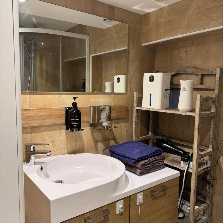 Aux Petits Oignons - Appartement 1 Chambre - 7