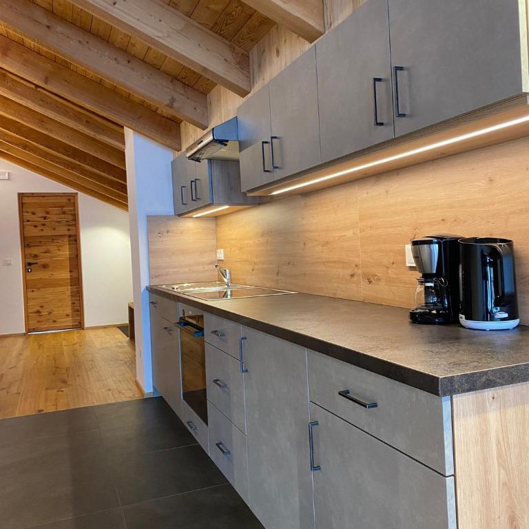 Tischlerhof Alpine Living - Appartamento con 2 Camere da Letto e con Vista Montagna - 14