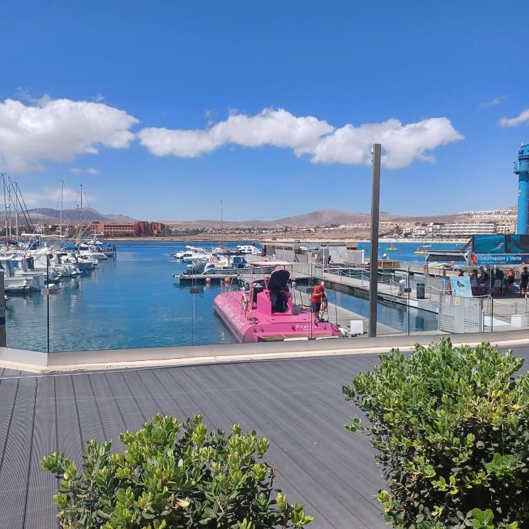 Fuerteventura PDS 1st floor apartment - One-Bedroom Apartment - 14