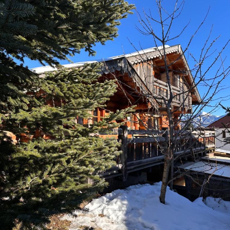 Chalet Cosy 12p - 5 min des pistes - spa - Chalet - 2