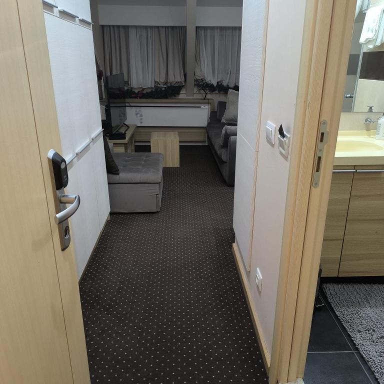 Konaci Kopaonik Lux Apartmani - Deluks Apartman sa 1 Spavaćom Sobom - 3