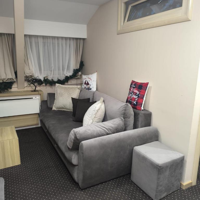 Konaci Kopaonik Lux Apartmani - Deluks Apartman sa 1 Spavaćom Sobom - 4