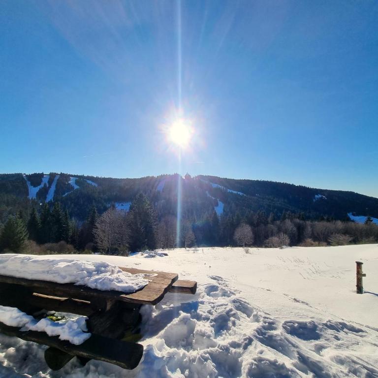 Chalet Dyna, luxe, calme et sérénité - Chalet - 39