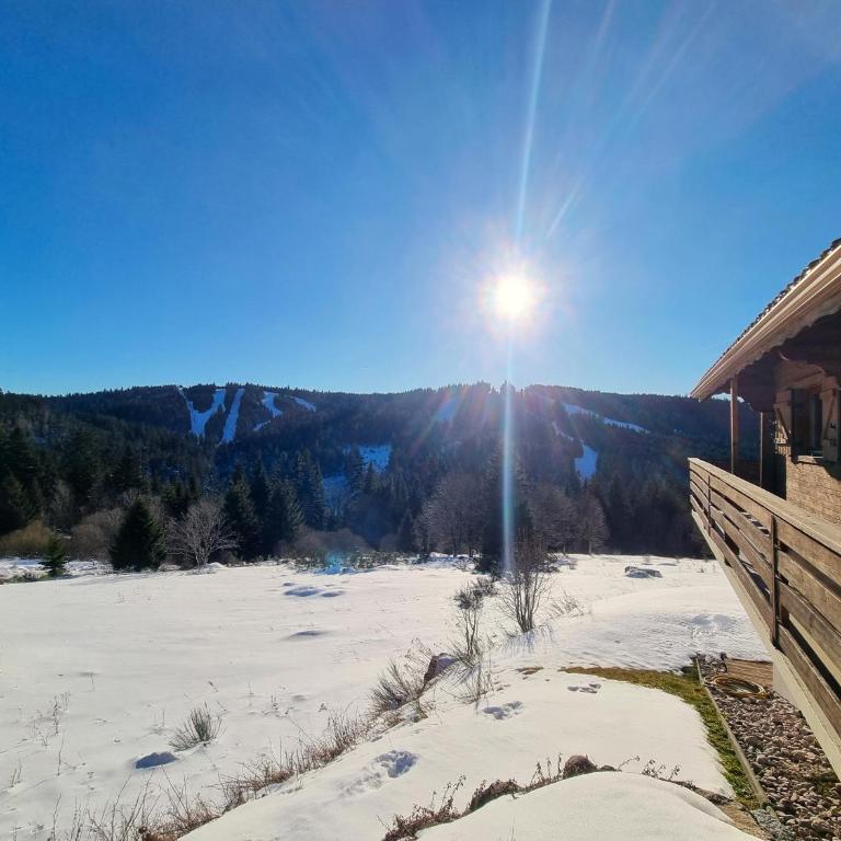 Chalet Dyna, luxe, calme et sérénité - Chalet - 44