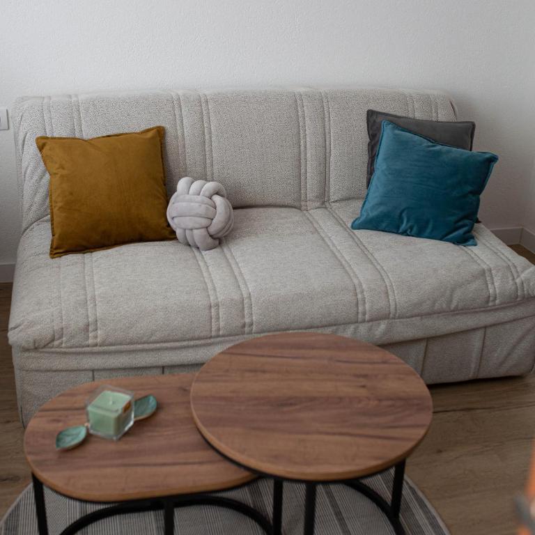 Apartman studio GRUBAC - Apartman sa 1 Spavaćom Sobom - 17
