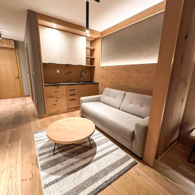 Apartment Vučko Lux C334 Private host - Apartman sa 1 Spavaćom Sobom - 6