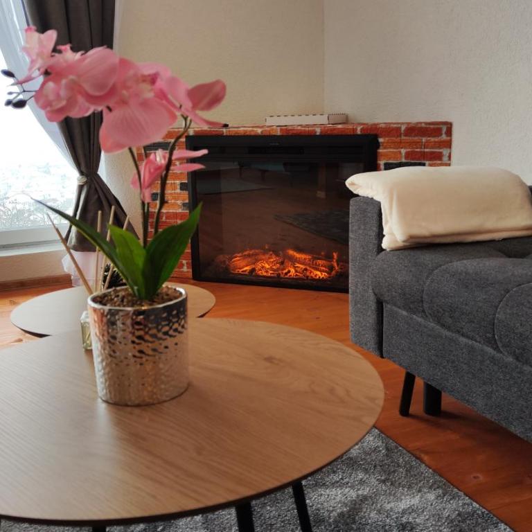 Panorama Hill Sarajevo - Two-Bedroom Apartment - 16