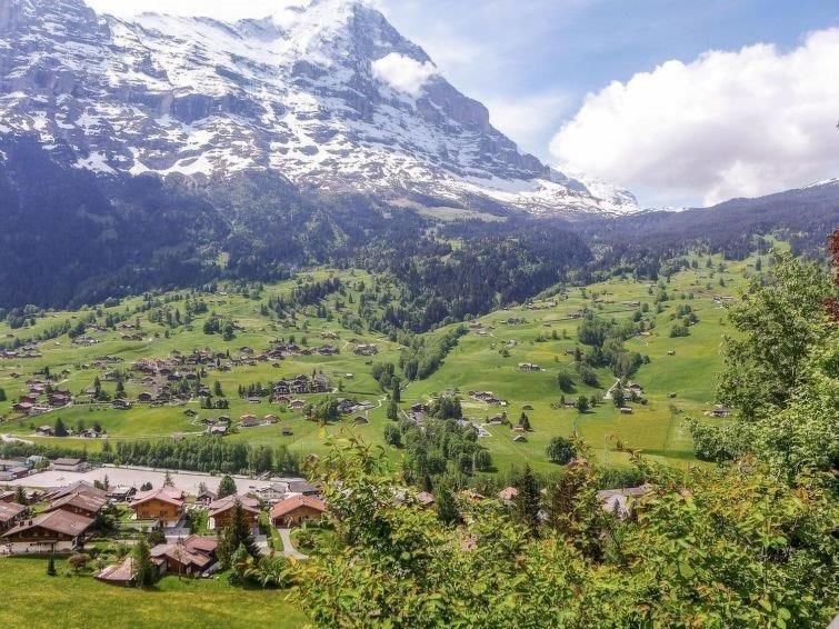 Apartment Aphrodite West magnificent Eiger view - Apartment mit 1 Schlafzimmer - 32