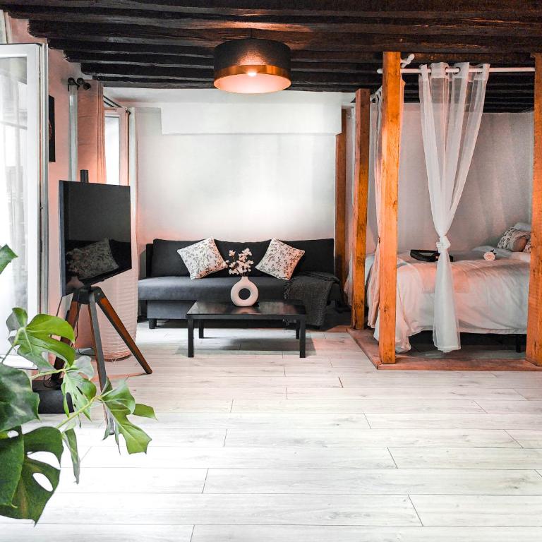 Rustic Charm&Dreamhome 40m2 in the heart of Paris, near Pompidou and Notre-Dame, Subway 4,8,9 Honeymoon favourite - Appartement 1 Chambre - 9