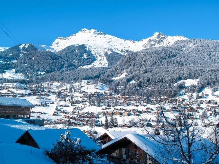 Apartment Aphrodite Ost with magnificent Eiger view - Apartment mit 1 Schlafzimmer - 13