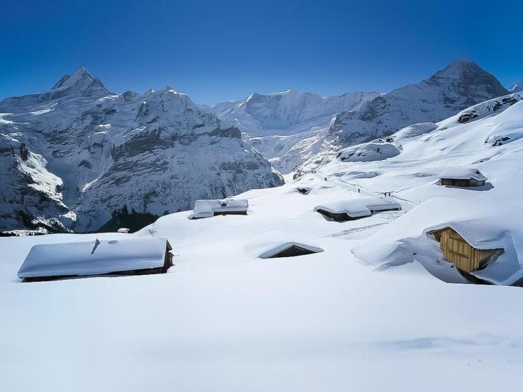Apartment Aphrodite Ost with magnificent Eiger view - Apartment mit 1 Schlafzimmer - 18
