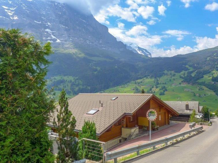 Apartment Aphrodite Ost with magnificent Eiger view - Apartment mit 1 Schlafzimmer - 25