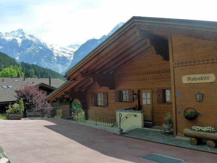 Apartment Aphrodite Ost with magnificent Eiger view - Apartment mit 1 Schlafzimmer - 27