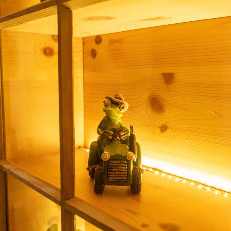 FeWo Froschkönig mit Sauna & Bergblick, Self-Check-in, WLAN, Parkplatz, zentrumsnah - Apartment mit Sauna - 13