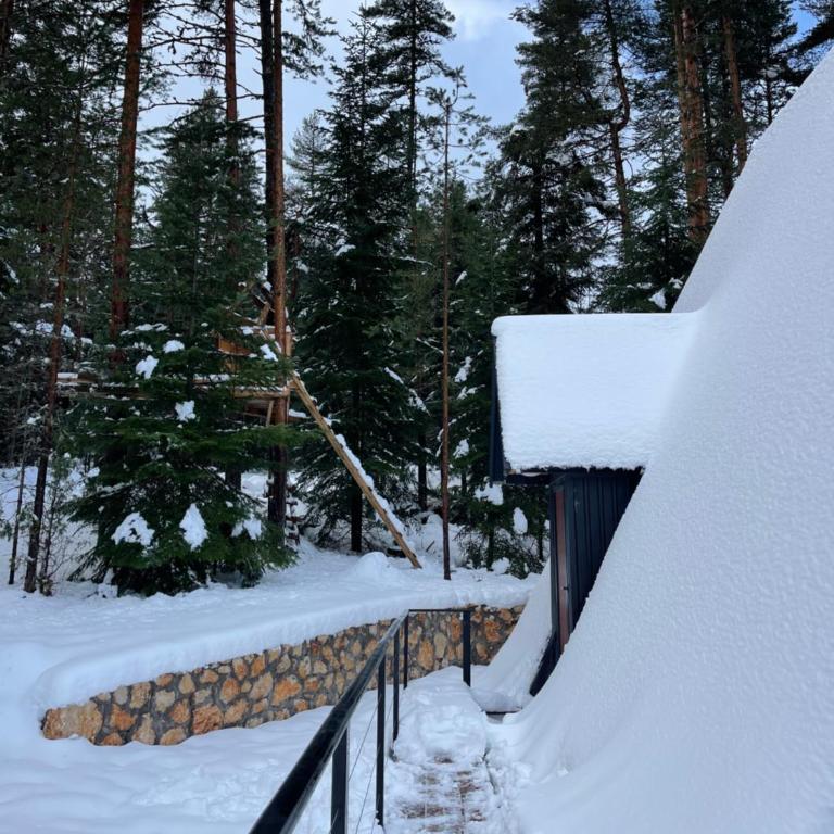 Alpine Lodge - Two-Bedroom House - 6