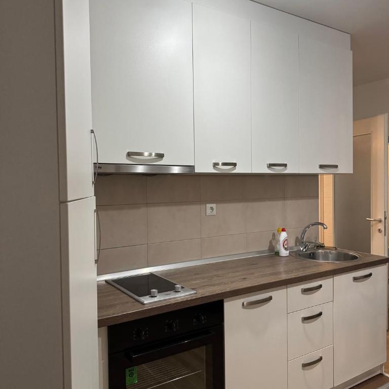 Stay inn Tuzla - Apartman sa 1 Spavaćom Sobom - 4