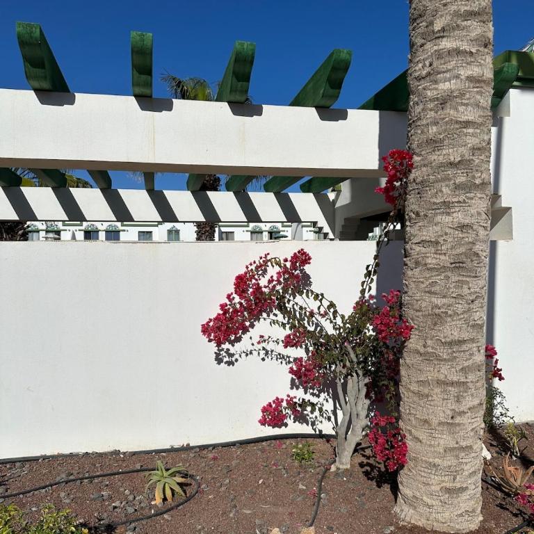 Casa Castillo II - Two-Bedroom Apartment - 28