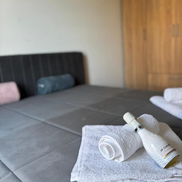 Udoban smeštaj u blizini grada i Dunava - Apartman sa 1 Spavaćom Sobom - 10