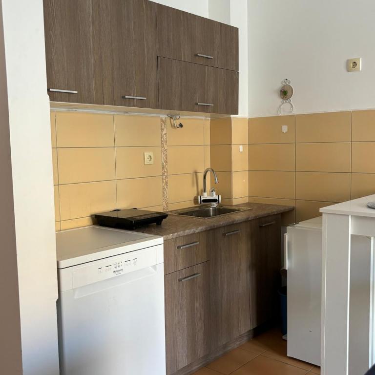 Udoban smeštaj u blizini grada i Dunava - Apartman sa 1 Spavaćom Sobom - 21