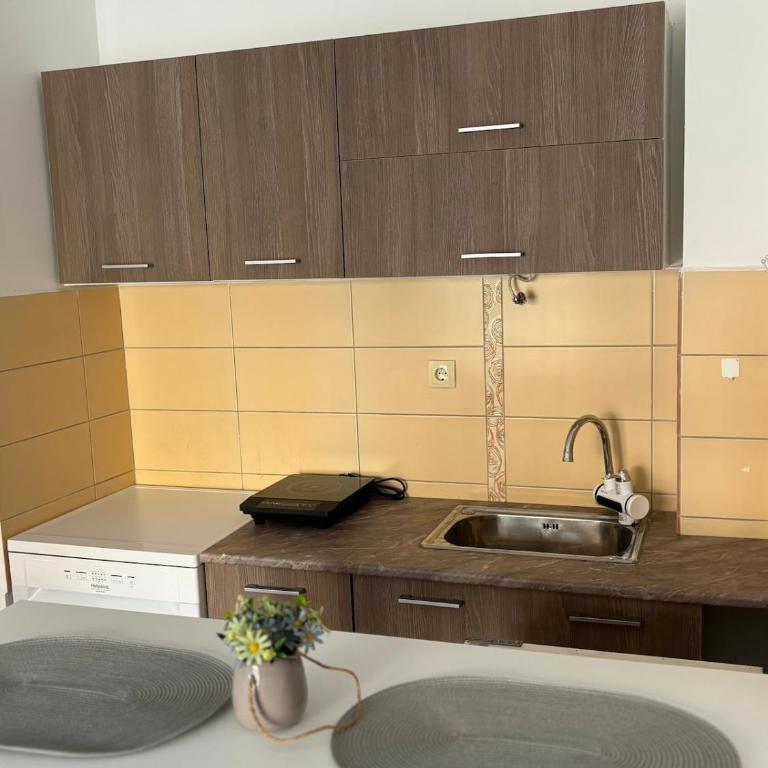 Udoban smeštaj u blizini grada i Dunava - Apartman sa 1 Spavaćom Sobom - 22