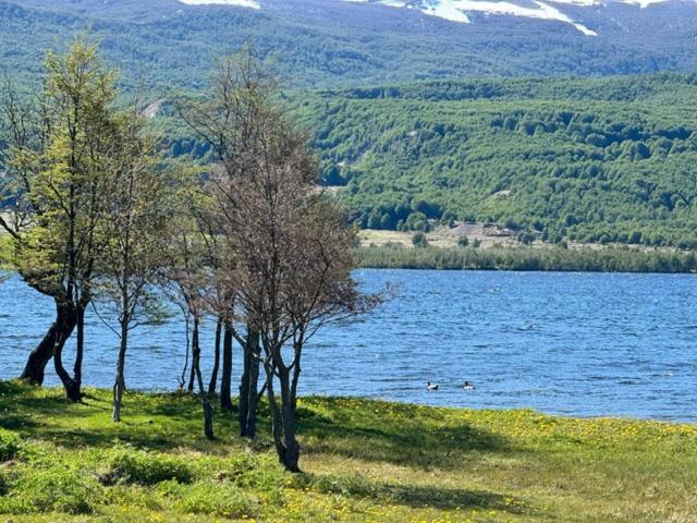 Cabaña Lago Frio - Coyhaique - Chalet de 1 dormitorio - 18