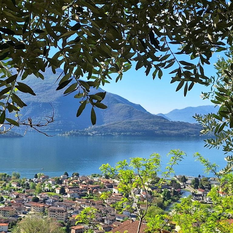 Villa Viva-Como - Three-Bedroom House - 54