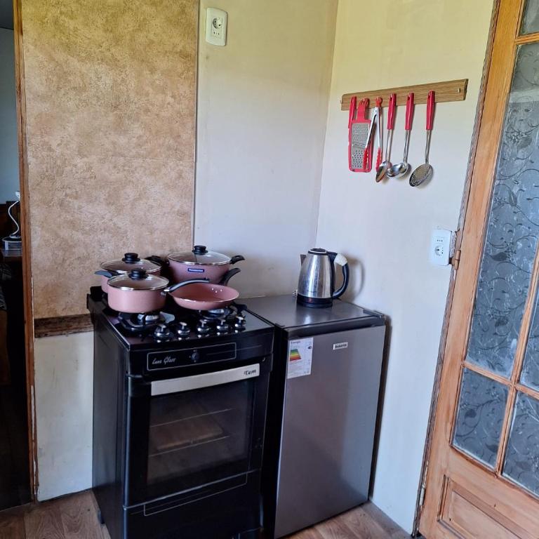 La Pichona - Casa de 2 dormitorios - 4