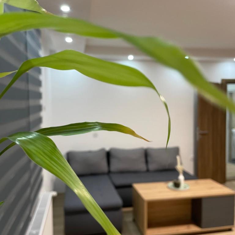 Blanco 5 - Apartman sa 1 Spavaćom Sobom - 1