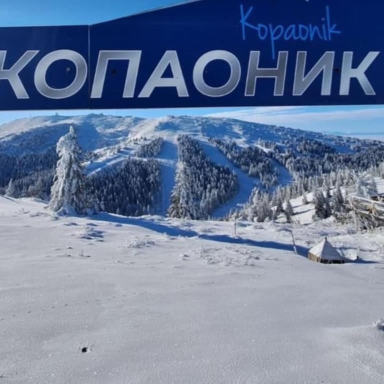 Apt. Kop for you - Apartman sa 1 Spavaćom Sobom - 19
