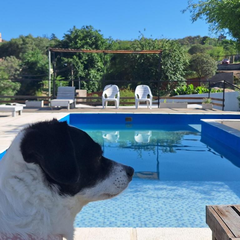 SIMION - Two-Bedroom Apartment - 16