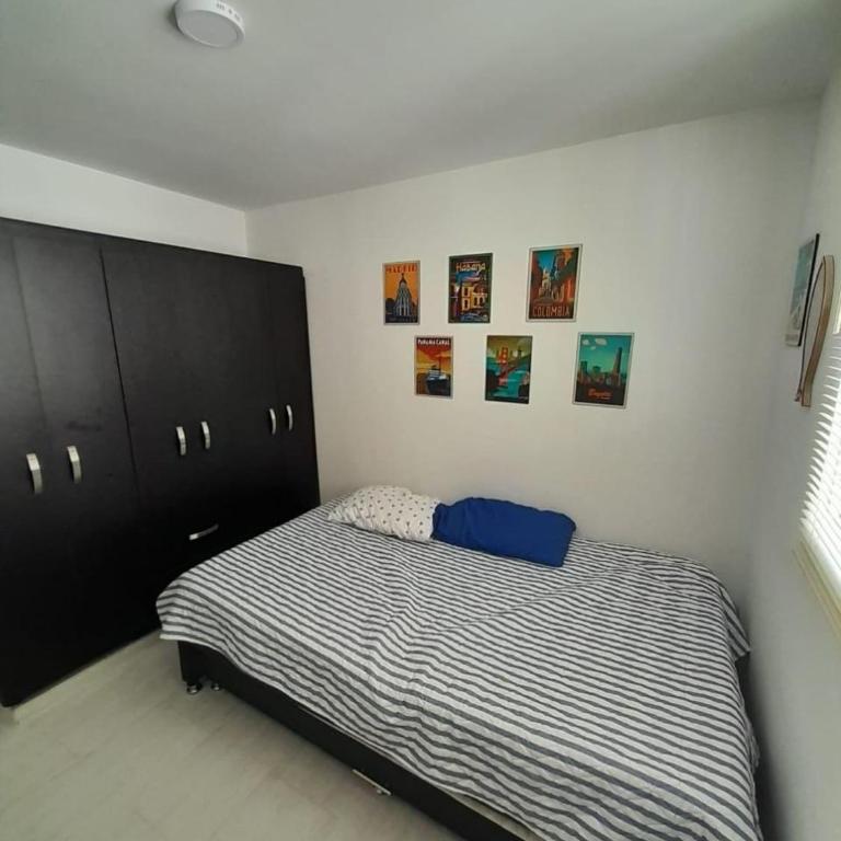 Espectacular apartamento amoblado en Ibagué - Apartamento Estándar de 2 dormitorios - 15