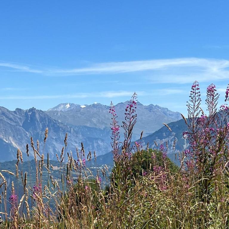 Appartement cosy Le Corbier Lunik Orion - Appartement 2 Chambres - 39