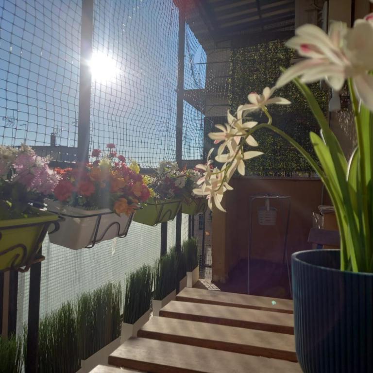 La Casa Libre Metro A Colli Albani 350 m - Appartement 1 Chambre - 17