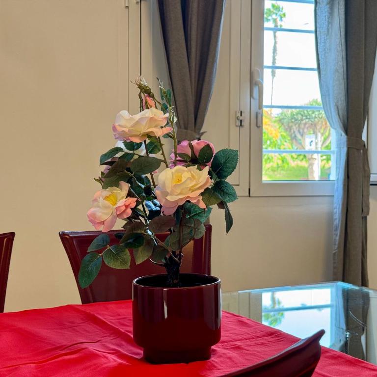 Apartamento Parque Romano - Apartamento de 1 dormitorio - 4