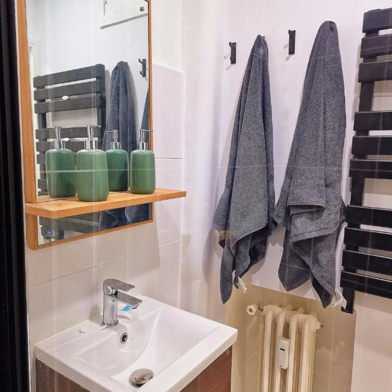 Netflix Bergson & Stade Guichard & zénith & Cité du Design - Apartment mit 1 Schlafzimmer - 11
