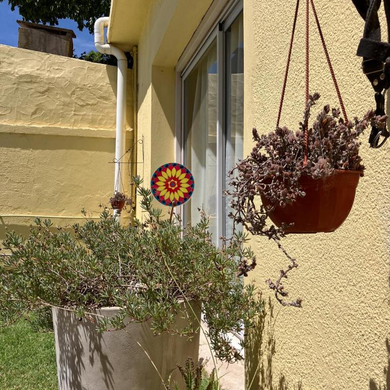 Casa con jardín y pileta en Chascomús, cerca de la Laguna - Casa de 2 dormitorios - 83