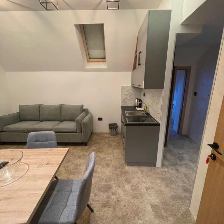 Apartments Suncani Vrhovi Kopaonik - One-Bedroom Apartment - 3