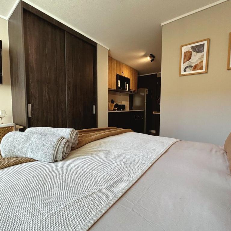 Espectacular Estudio en el centro de Ñuñoa, Santiago - Apartamento Estudio con balcón - 7