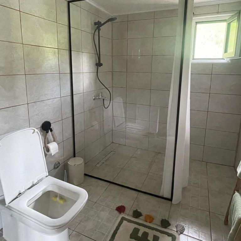 Vikendica Anas - Apartman sa 2 Spavaće Sobe - 7