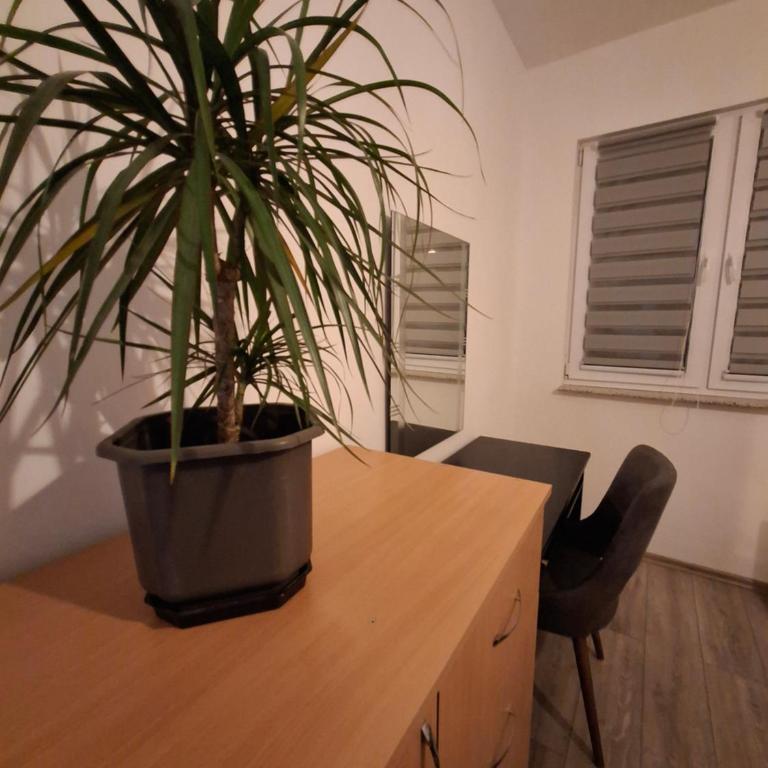 Apple Home - Two-Bedroom Apartment - 43