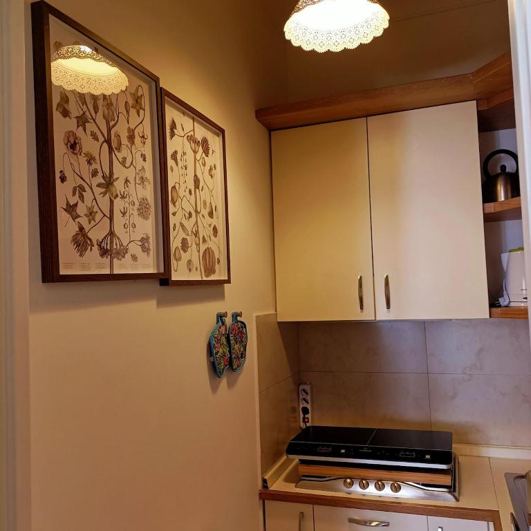 Colosseo Elegant Apartment - One-Bedroom Apartment - 37