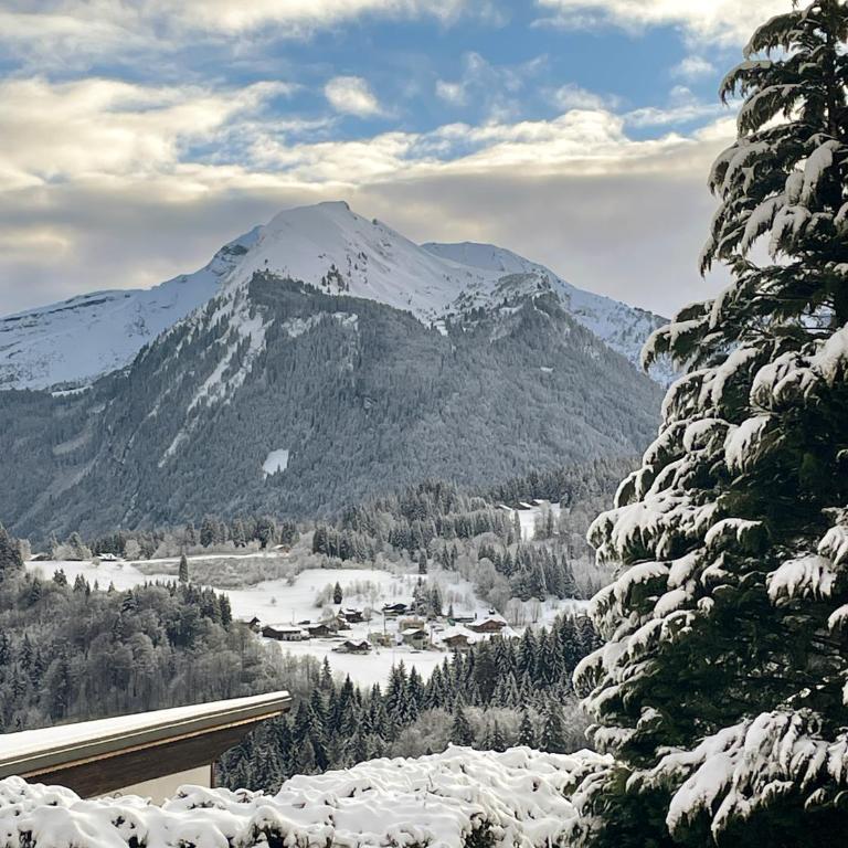 Chalet l'Alisier - Modern chalet, beautiful mountain view, Morzine-Les Gets - Chalet Supérieur - 33