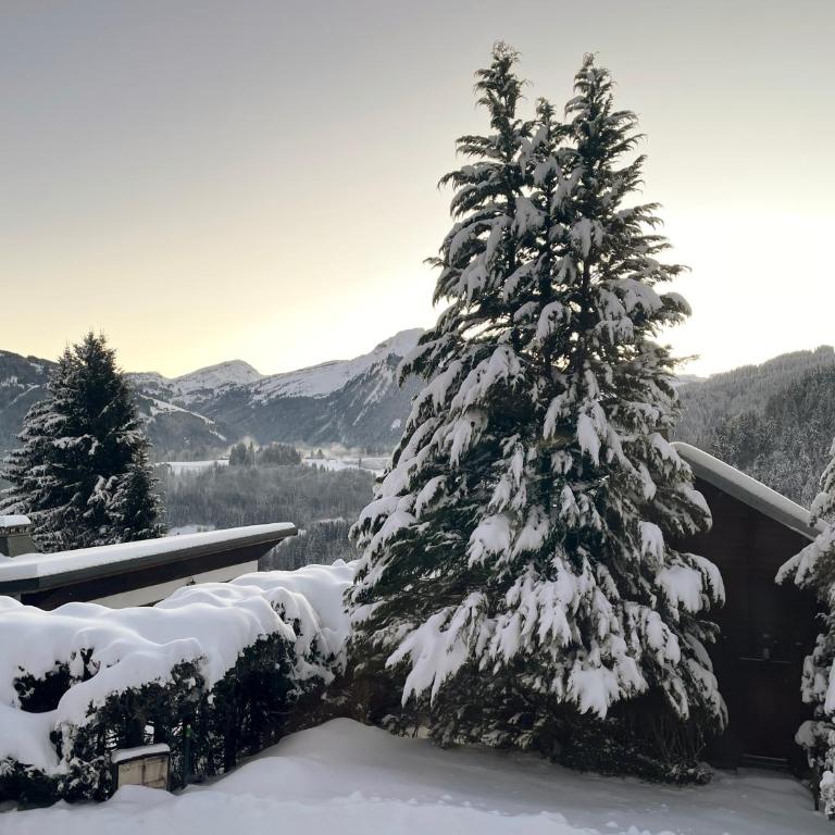 Chalet l'Alisier - Modern chalet, beautiful mountain view, Morzine-Les Gets - Chalet Supérieur - 32