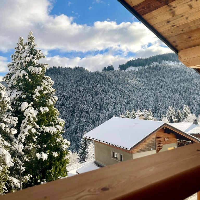 Chalet l'Alisier - Modern chalet, beautiful mountain view, Morzine-Les Gets - Chalet Supérieur - 6