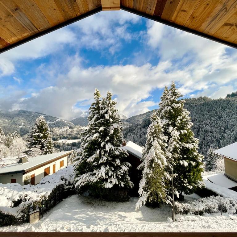 Chalet l'Alisier - Modern chalet, beautiful mountain view, Morzine-Les Gets - Chalet Supérieur - 5