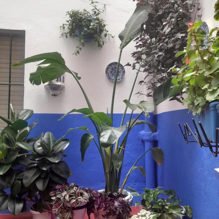 Puerta Sevilla PARKING GRATIS - Two-Bedroom Apartment - 46