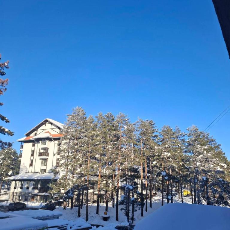 Planinska Tajna - Apartman sa 1 Spavaćom Sobom - 10