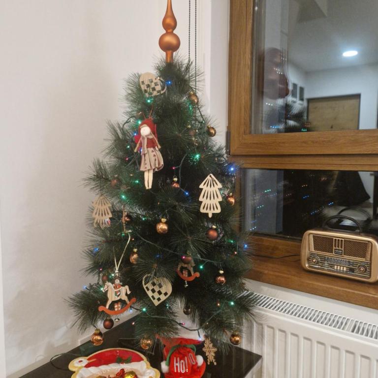 Divcinova - Apartman Gorski - Apartman sa 1 Spavaćom Sobom - 21