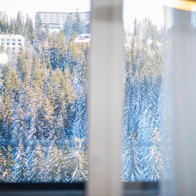 Royal Premium by Vucko Jahorina - FREE PARKING - One-Bedroom Apartment - 25